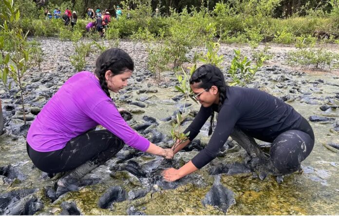 Educação Ambiental